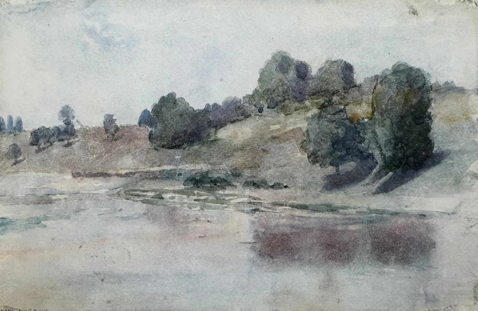 Trees Along the Shoreline