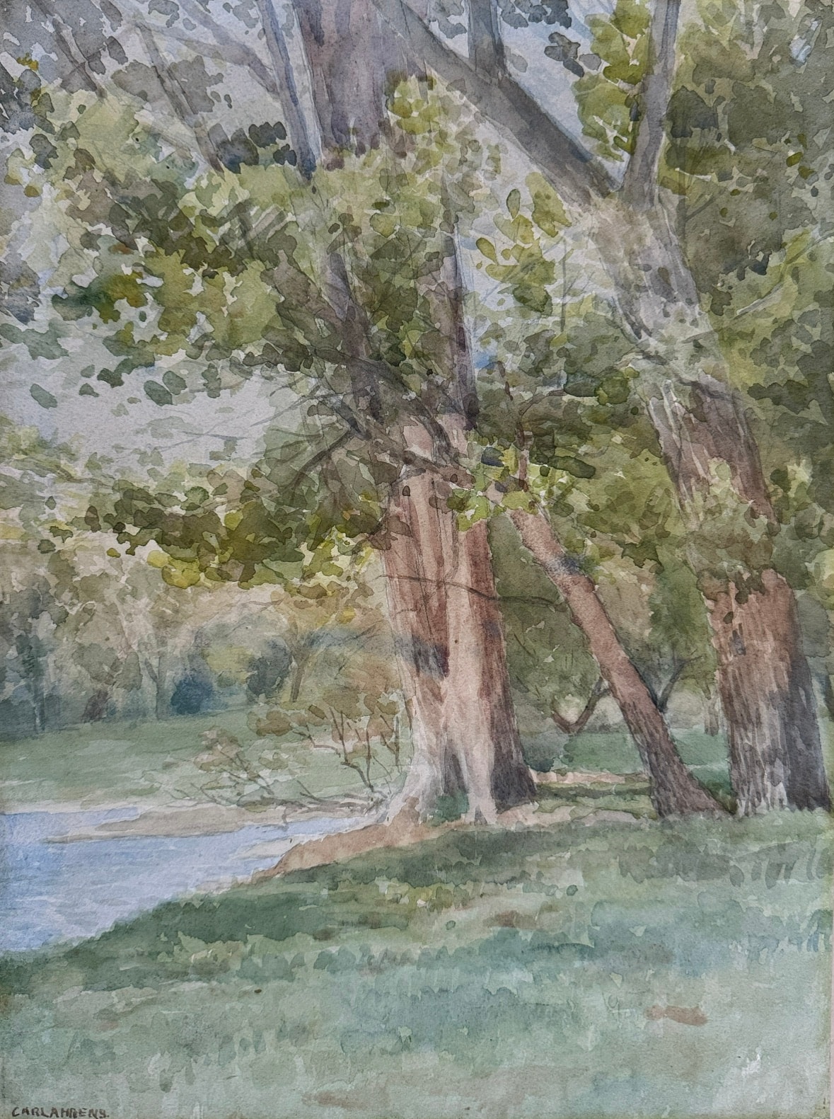 Landscape With Birches