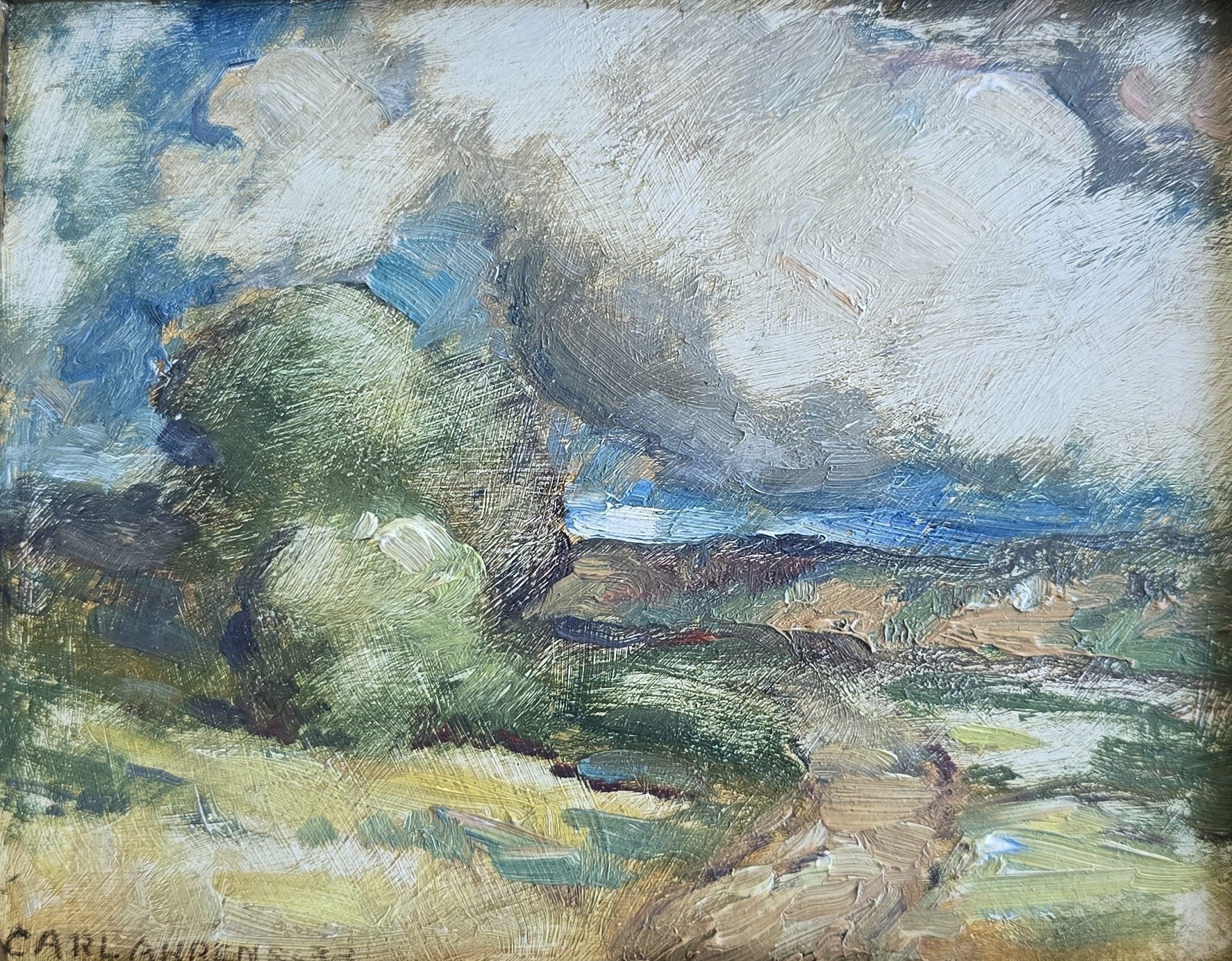 Path in Field restored by Sandu Sindile