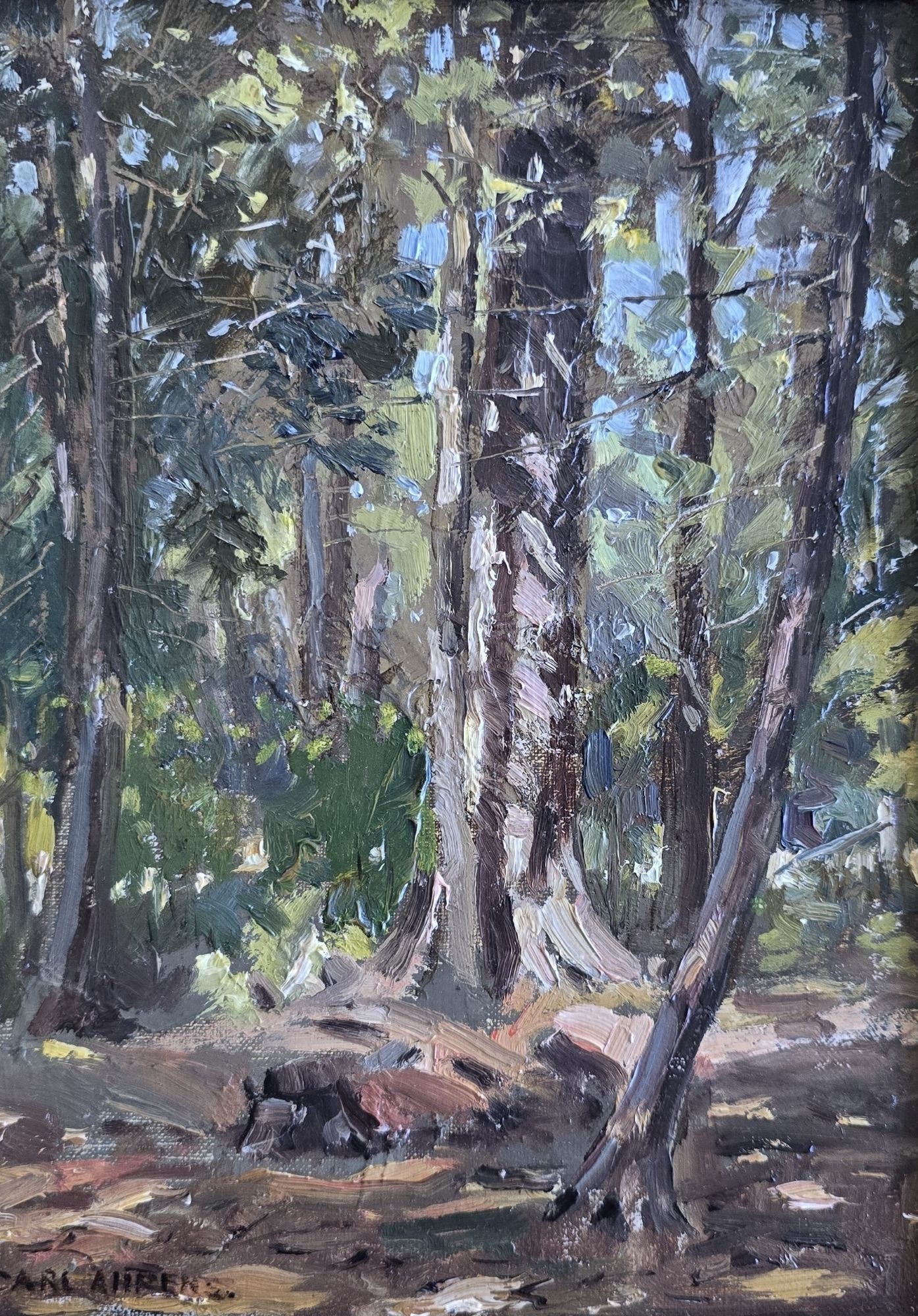 Sunlit Woodland Interior restored by Sandu Sindile